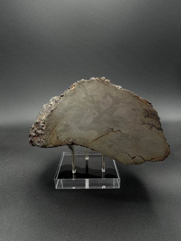 Nantan Meteorite (Iron-Nickel)