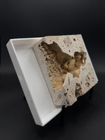 Fossil Freshwater Crab in Matrix (Potamon potamios) - 2