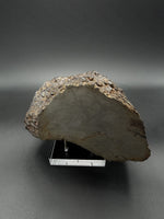 Nantan Meteorite (Iron-Nickel) - 2