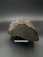 Nantan Meteorite (Iron-Nickel) - 3