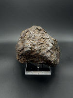 Nantan Meteorite (Iron-Nickel) - 6