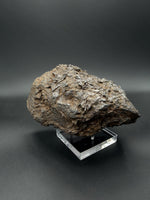 Nantan Meteorite (Iron-Nickel) - 7