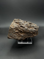 Nantan Meteorite (Iron-Nickel) - 8