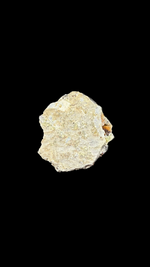 Copper & Chrysocolla in Chalcedony - 3