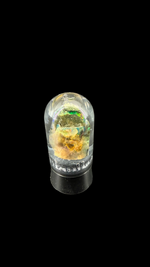 Encapsulated Opal - 2