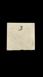 Sea Scorpion Eurypterid (medium) - 1