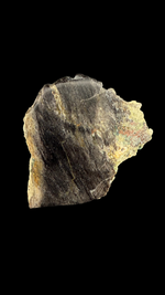 Petrified Wood with Native Copper - 2