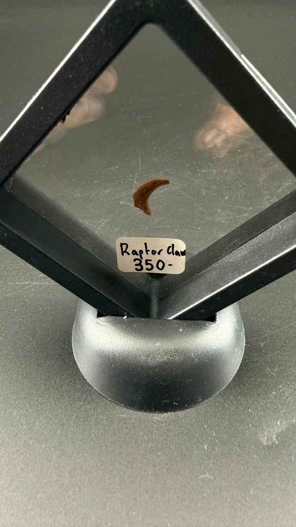 Raptor Claw