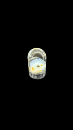 Encapsulated Opal - 3