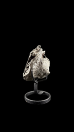 Russian Meteorite - 3