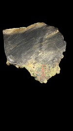 Petrified Wood with Native Copper - 1