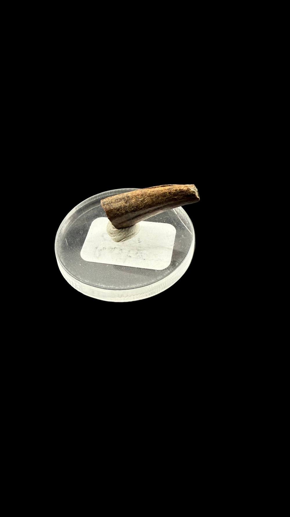 Raptor Claw