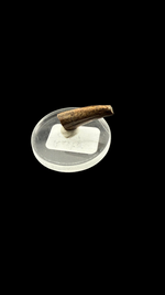 Raptor Claw - 1