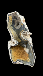 Agatized Coral - 5