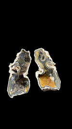 Agatized Coral - 9