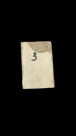 Sea Scorpion Eurypterid (small) - 2