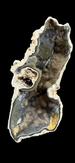 Agatized Coral - 6