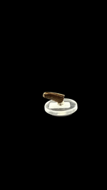 Raptor Claw - 3