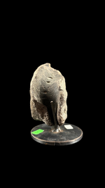 Hypacrosaur Vertebrae - 2