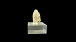 Pachycephalosaur Claw - 4