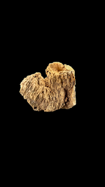 Agatized Coral - 3