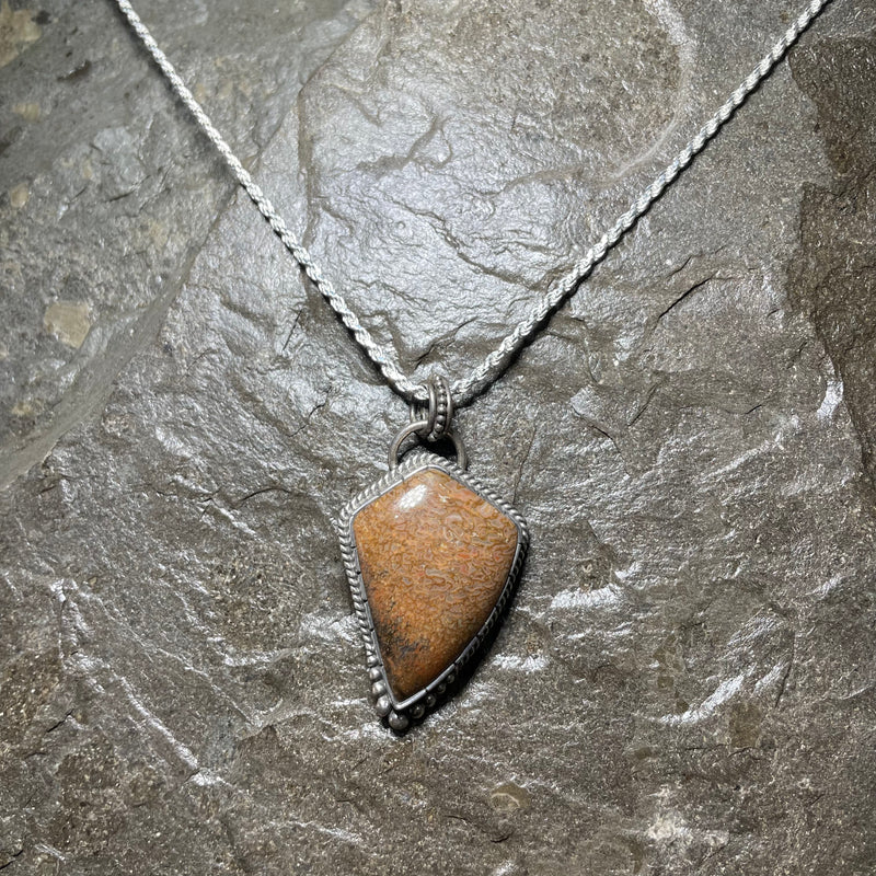 Dinosaur Gem Bone Pendant 7